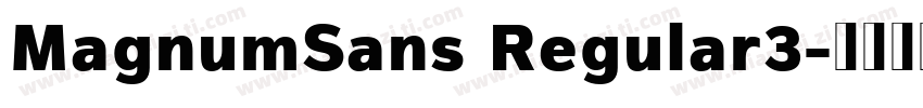 MagnumSans Regular3字体转换